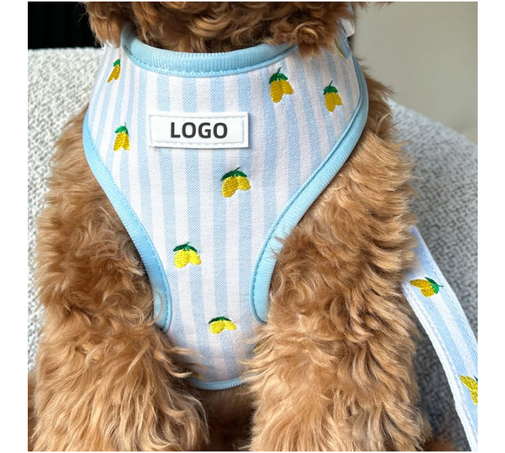 Custom Lemon Print Dog Harness, Collar & Leash 3-Piece Set (5).jpg